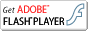 Adobe Flash Player 9