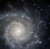 M74 : Phantom Galaxy