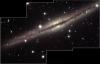 NGC891
